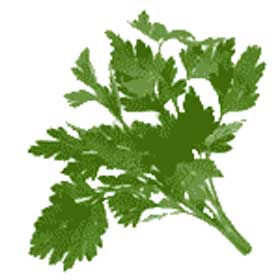 parsley