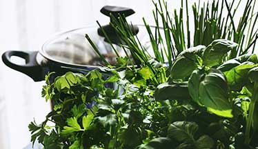 herbs near pot